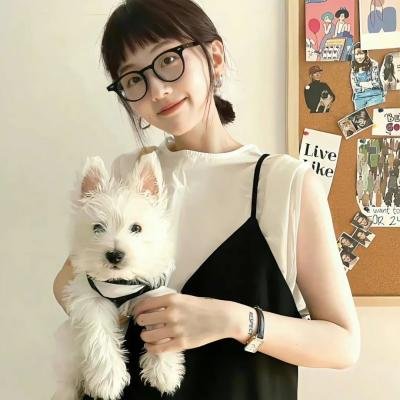 我的英雄学院第六季